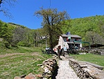 mfaie17 045m